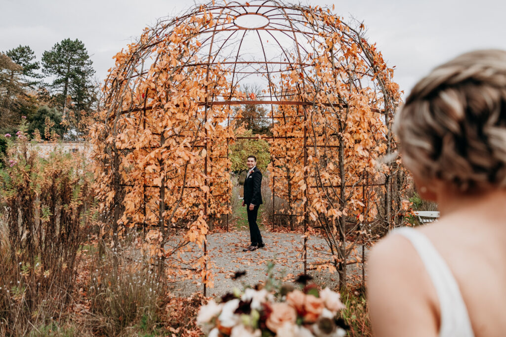 First look in walled garden at Middleton Lodge