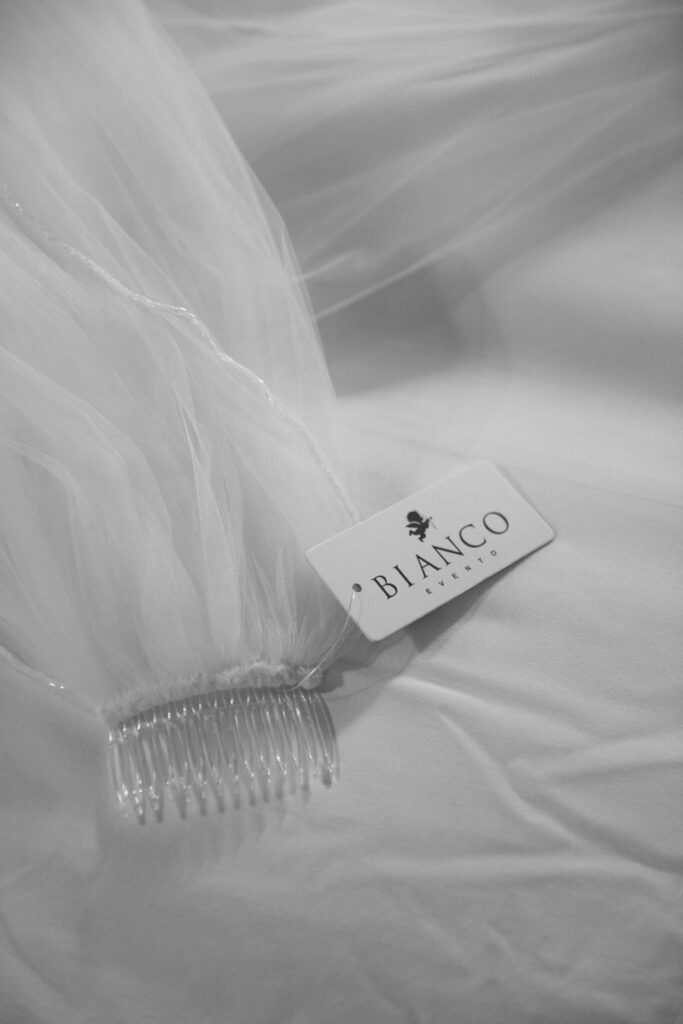 Veil in black and white
